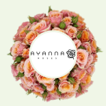 Ecuador - Ayanna