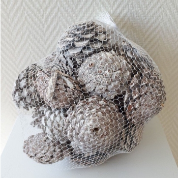 Pinecone-MaritimaWhite-12pcs_bag.jpeg