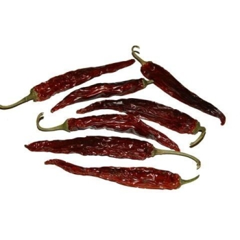 product/img.floraplaza.nl/FRUCHIL-ASSORTI_fotos-Lino-Fruit chili pepper long.jpg