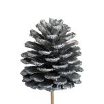 Stick Pine cone Käbi Silver ø5cm 50cm