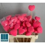 Stick Heart Süda Ø6cm Flock Dark Pink 50cm