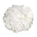 HYDR. HORTENSIA M PREMIUM WHITE 60CM (EC)*5