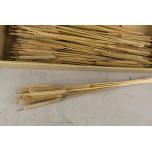 Dried Typha large Natural 10pc/bunch 70cm (pk)