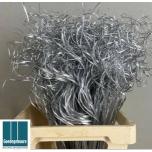 Dried Tingting Silver 100pc/bunch (pk)