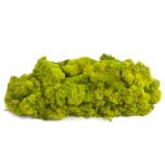 Stabiliseeritud Põdrasammal Reindeer Moss 1kg Light Green