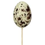 Stick Egg Muna Ø7cm Quail Natural 50cm