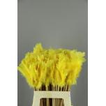 Stick Feather Sulg 14cm Yellow 50cm