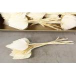 Dried Palm Spear medium Bleached 5pcs (pk)