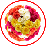 HOLIDAY SPECIAL MIX ROSES 50CM - Sõbrapäev/Valentine’s Day 2025