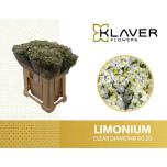 Limonium Parkjuur V Clear Diamond 60cm