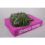 Chico Doro Rolls 35cm (pk)