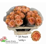 Roos 50cm Peach Funky