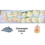 Anthurium Flamingolill Champagne