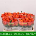 Roos 50cm Orange Wave