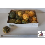 Cucurbita Kõrvits mix