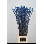 Salix Paju Pussy Willow paint Blue 100cm