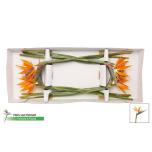 Strelitzia flower Paradiisilinnulill 80cm