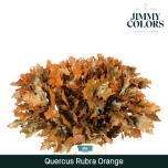 Quercus Tammeoks paint Orange 80cm*20