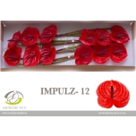 Anthurium Flamingolill Impulz