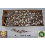 Cotton Gossypium Puuvilla oks (tk)