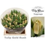 Tulp paint si Gold Rush