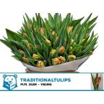 Tulp do Viking