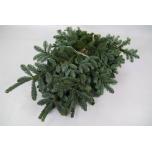 Abies Nobilis Nulg NOBILIS WITBAND 5KG pakk