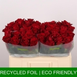 Roos 50cm Ever Red