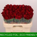 Roos 60cm Ever Red