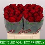 Roos 40cm Madam Red