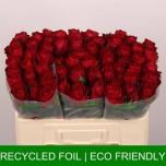 Roos 50cm Madam Red