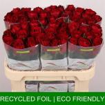 Roos 70cm Madam Red