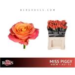 Roos 60cm Miss Piggy