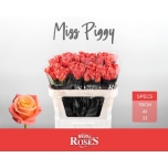 Roos 70cm Miss Piggy