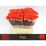 Roos 40cm Patz