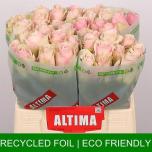 Roos 40cm Pink Athena