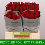 Roos 40cm Red Torch