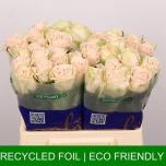 Roos 40cm Wedding Rose