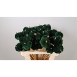 Stick Pumpkin Kõrvits Velvet Green 55cm