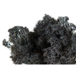 Stabiliseeritud Põdrasammal Reindeer Moss 1kg Black