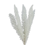 Foxtail white 30/40