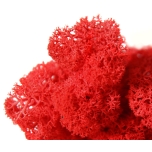 Stabiliseeritud Põdrasammal Reindeer Moss 1kg Red