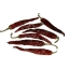 product/img.floraplaza.nl/FRUCHIL-ASSORTI_fotos-Lino-Fruit chili pepper long.jpg