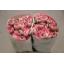 product/img.floraplaza.nl/LRANFAV-ASSORTI_fotos-TOPB-Ranunculus succes favola.JPG