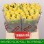 product/img.floraplaza.nl/RGOO4-LIVE_fotos-0xAC378ECCF9CF51A465497B5B874EF459A25534B2.jpg